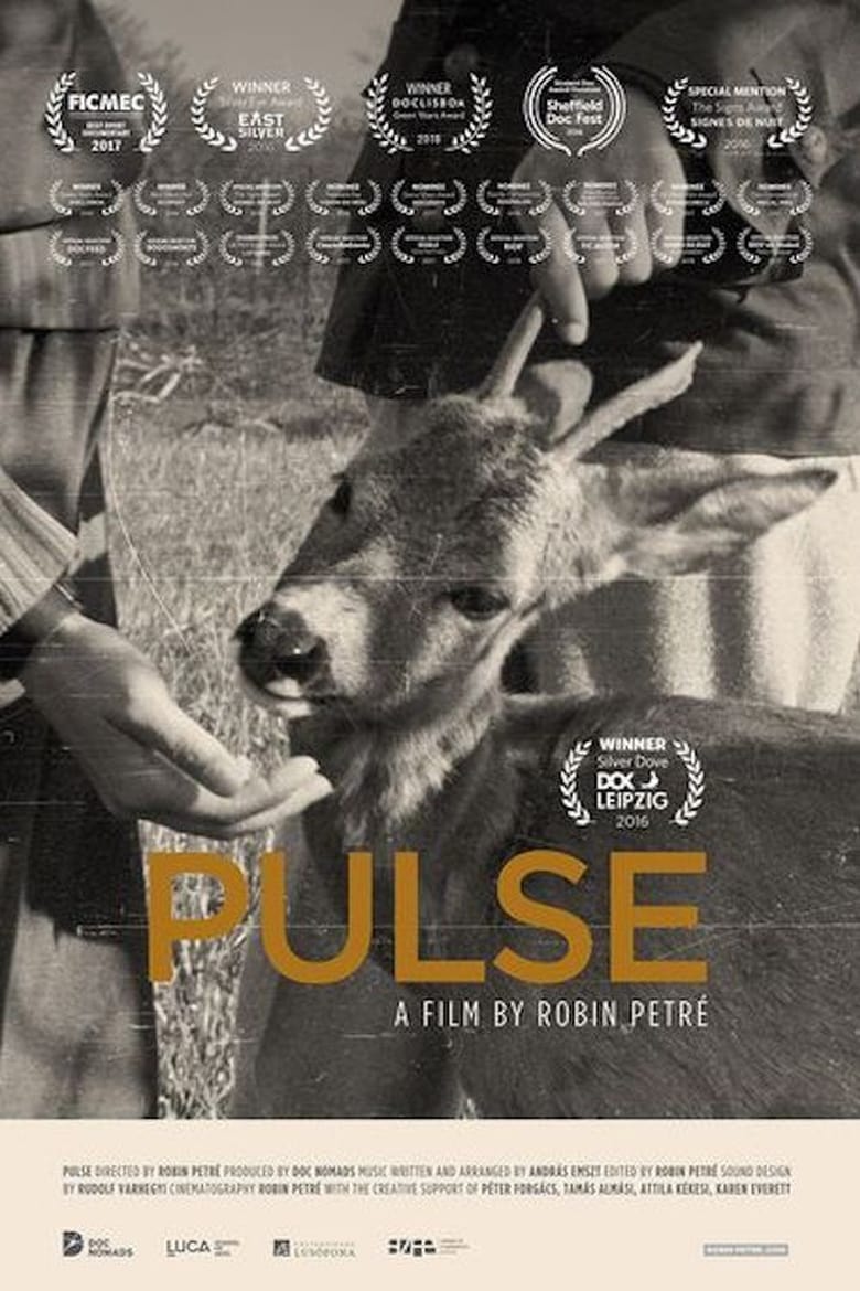 Poster of Pulse