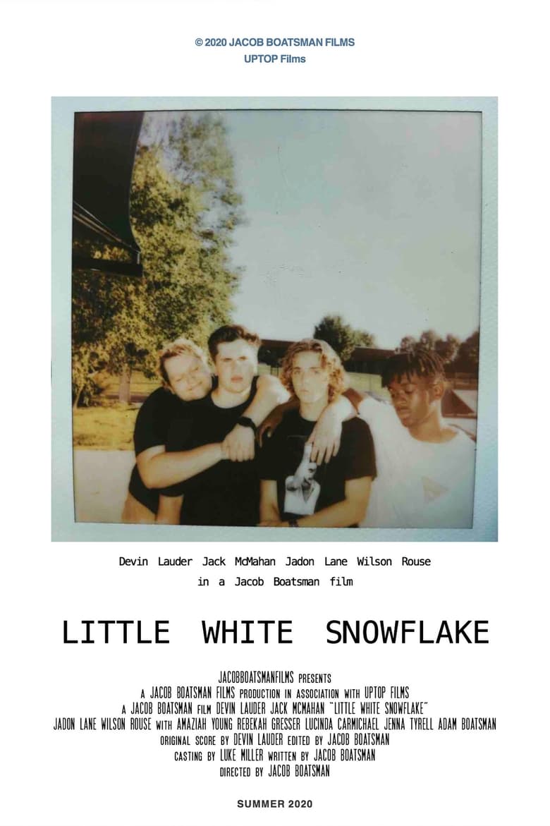 Poster of Little White Snowflake