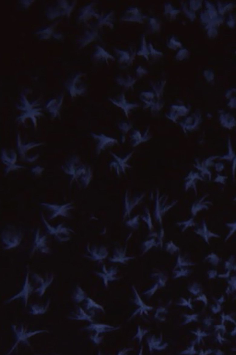 Poster of Albedo 0.97