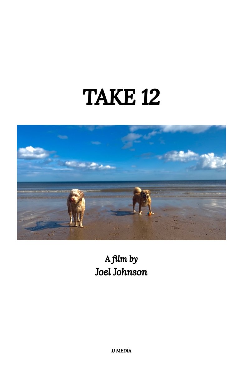 Poster of Take 12