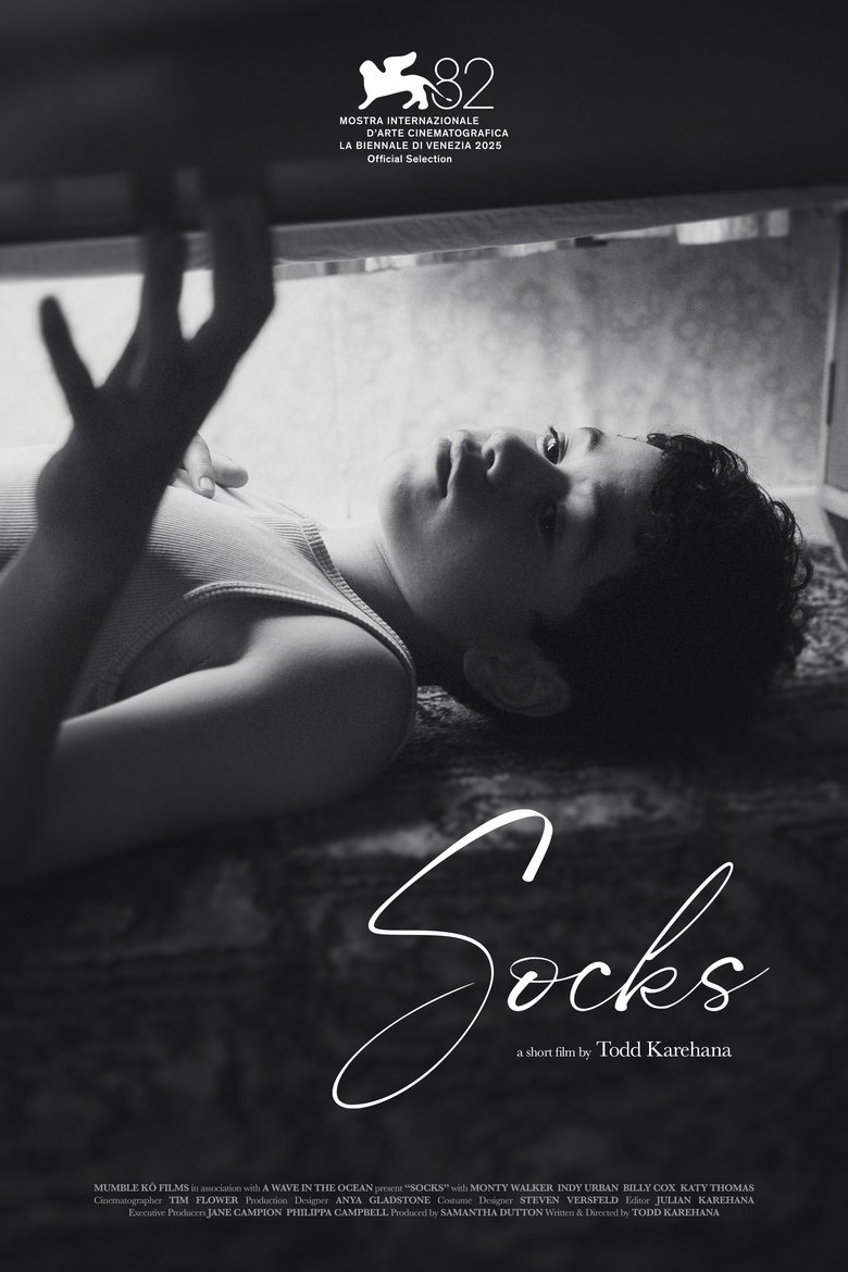 Poster of Socks