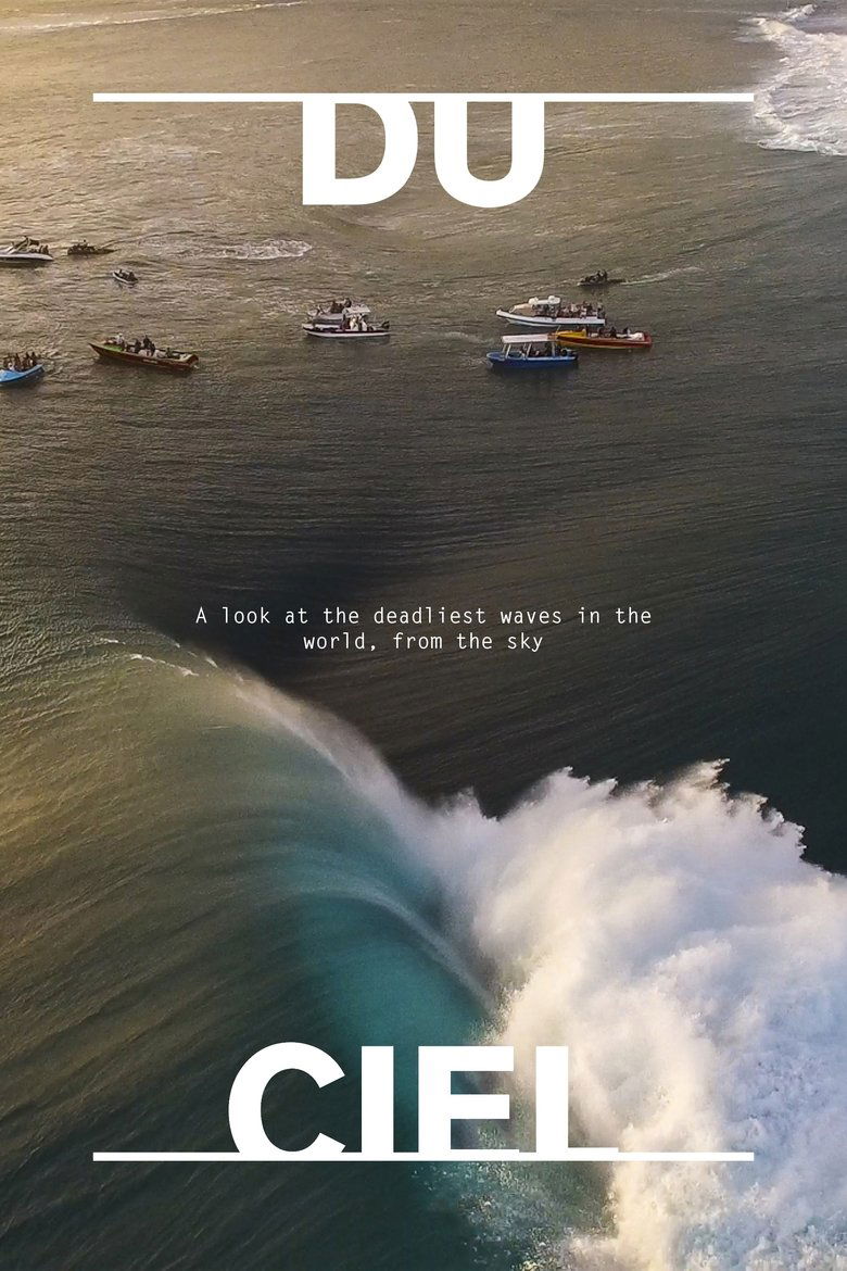 Poster of Surfing Presents: Du Ciel