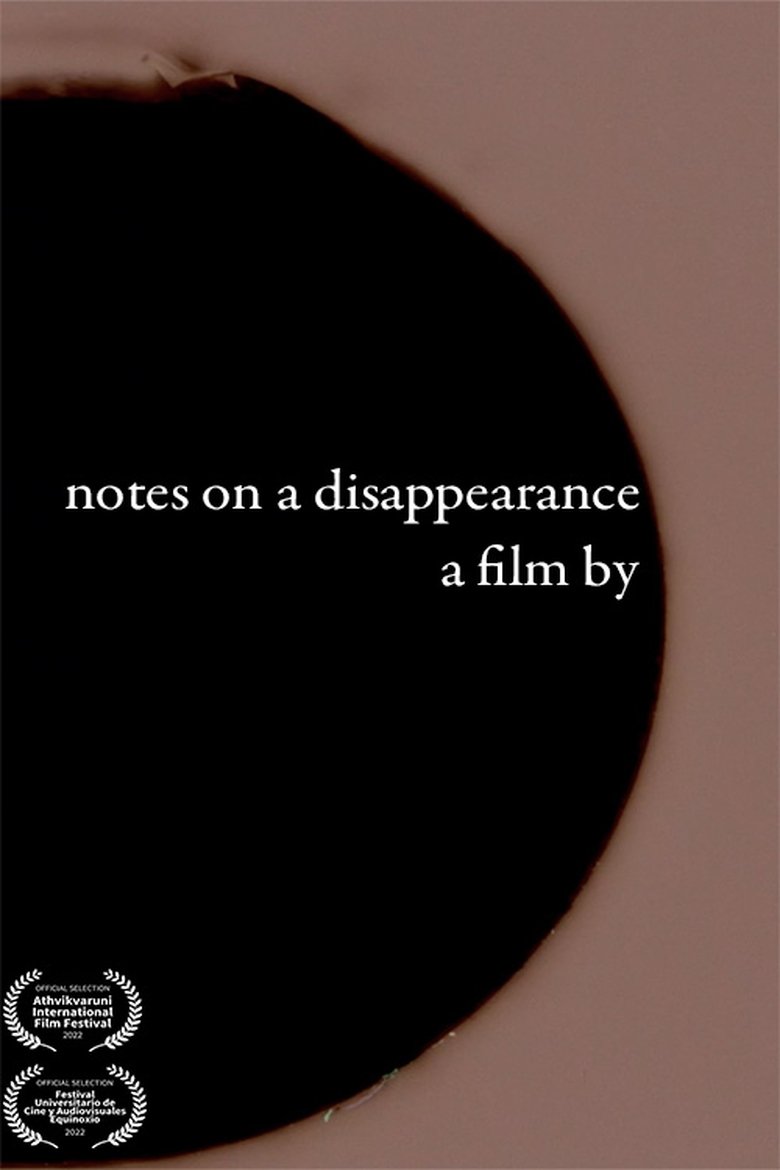 Poster of notes on a disappearance