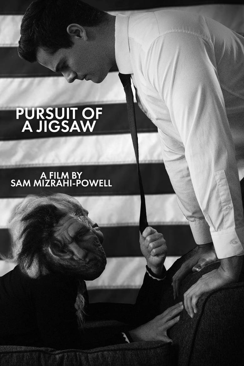 Poster of Pursuit Of A Jigsaw