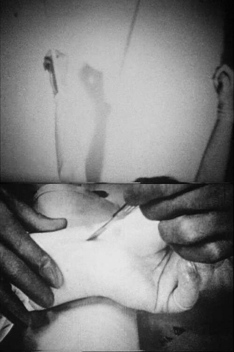 Poster of Blicklust