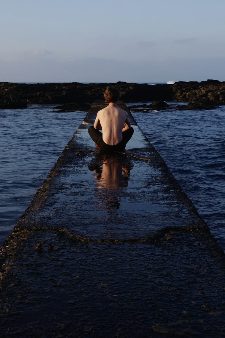 Poster of Coastline Self Portrait