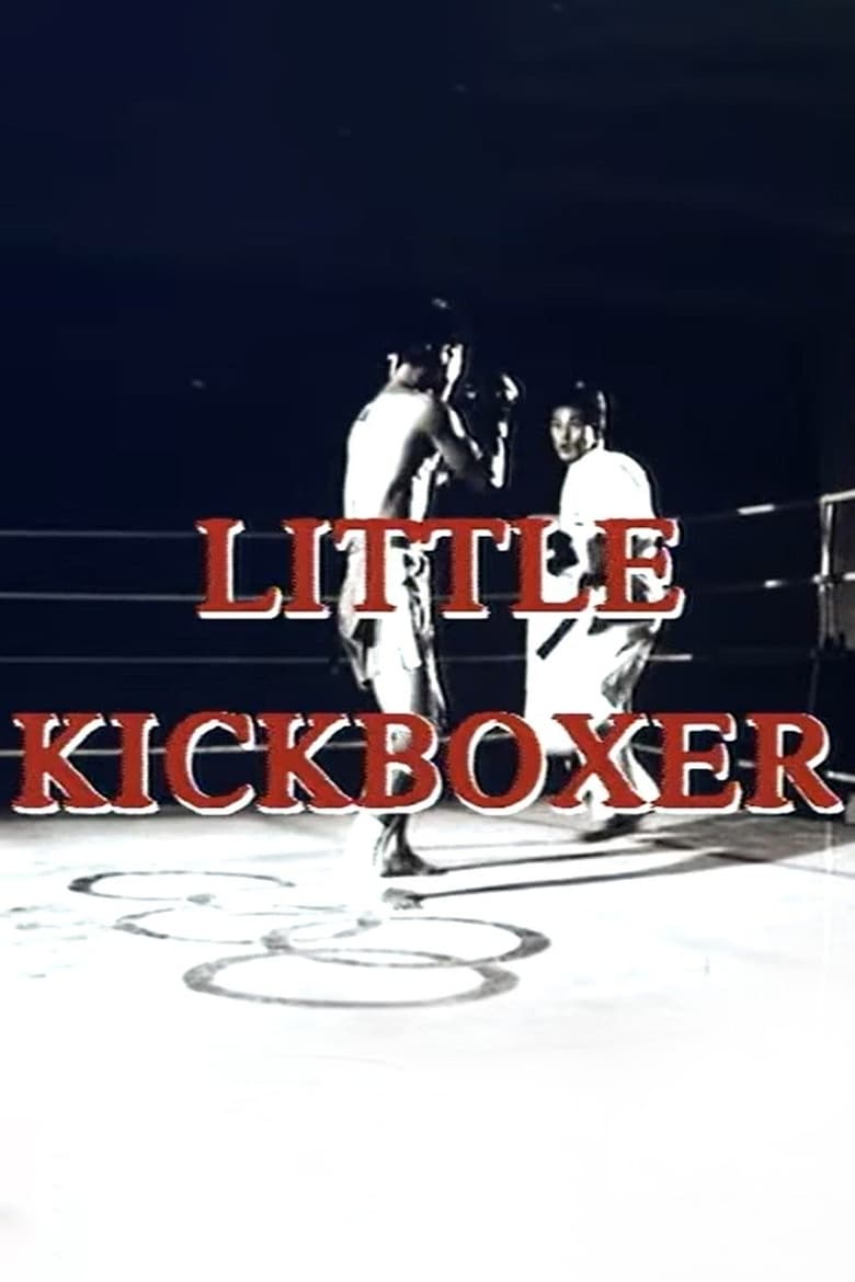 Poster of Little Kickboxer