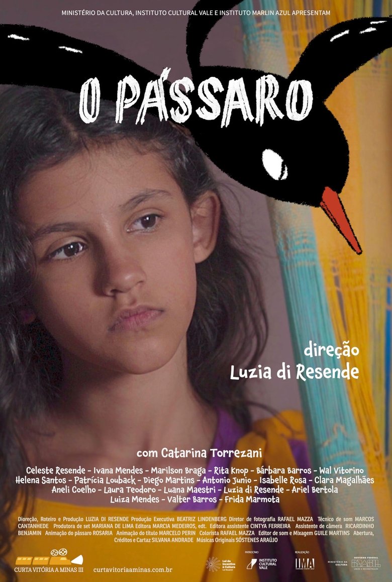 Poster of O Pássaro