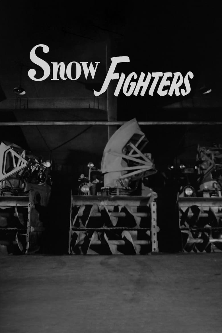 Poster of Snow Fighters