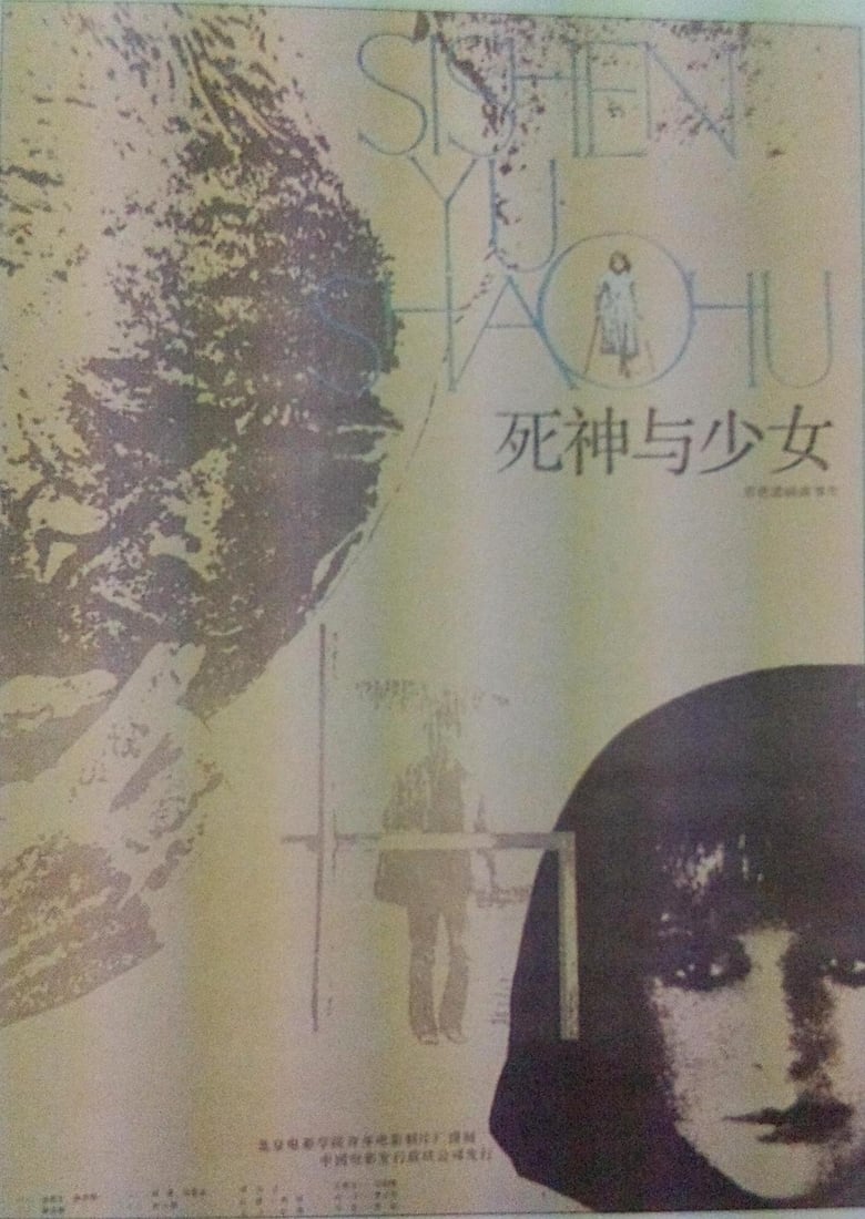 Poster of Death and the Maiden