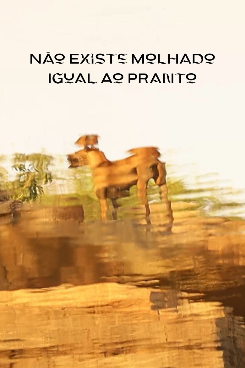 Poster of Não Existe Molhado Igual Ao Pranto