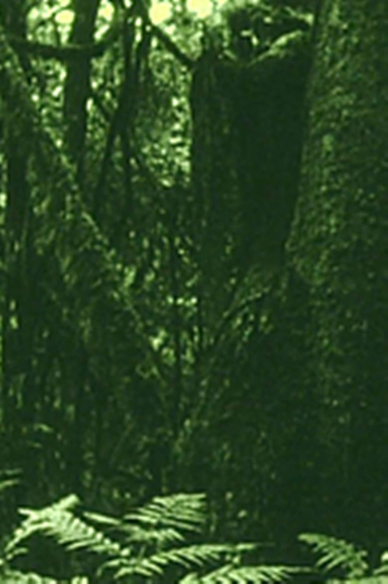 Poster of The Eyes in the Woods and the Taste in the Water