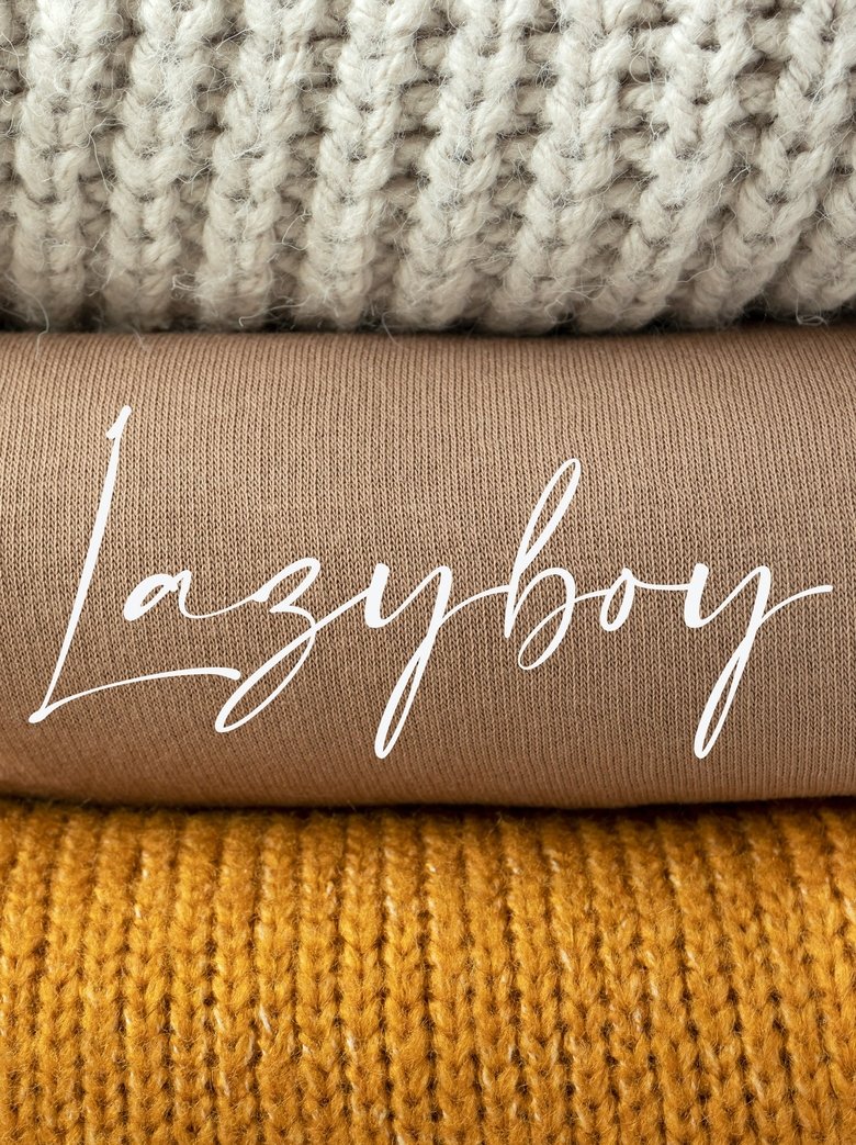 Poster of Lazyboy
