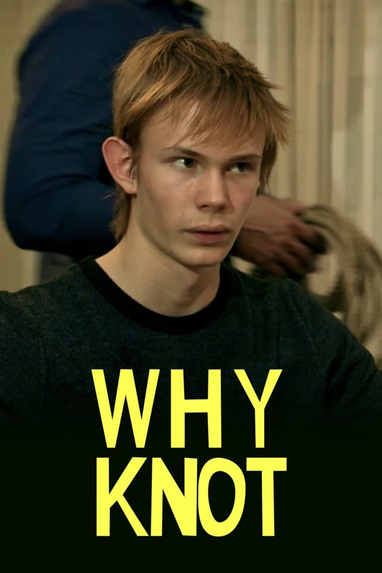 Poster of Why Knot