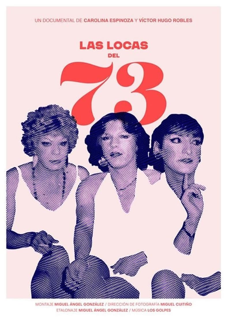 Poster of Las Locas del 73