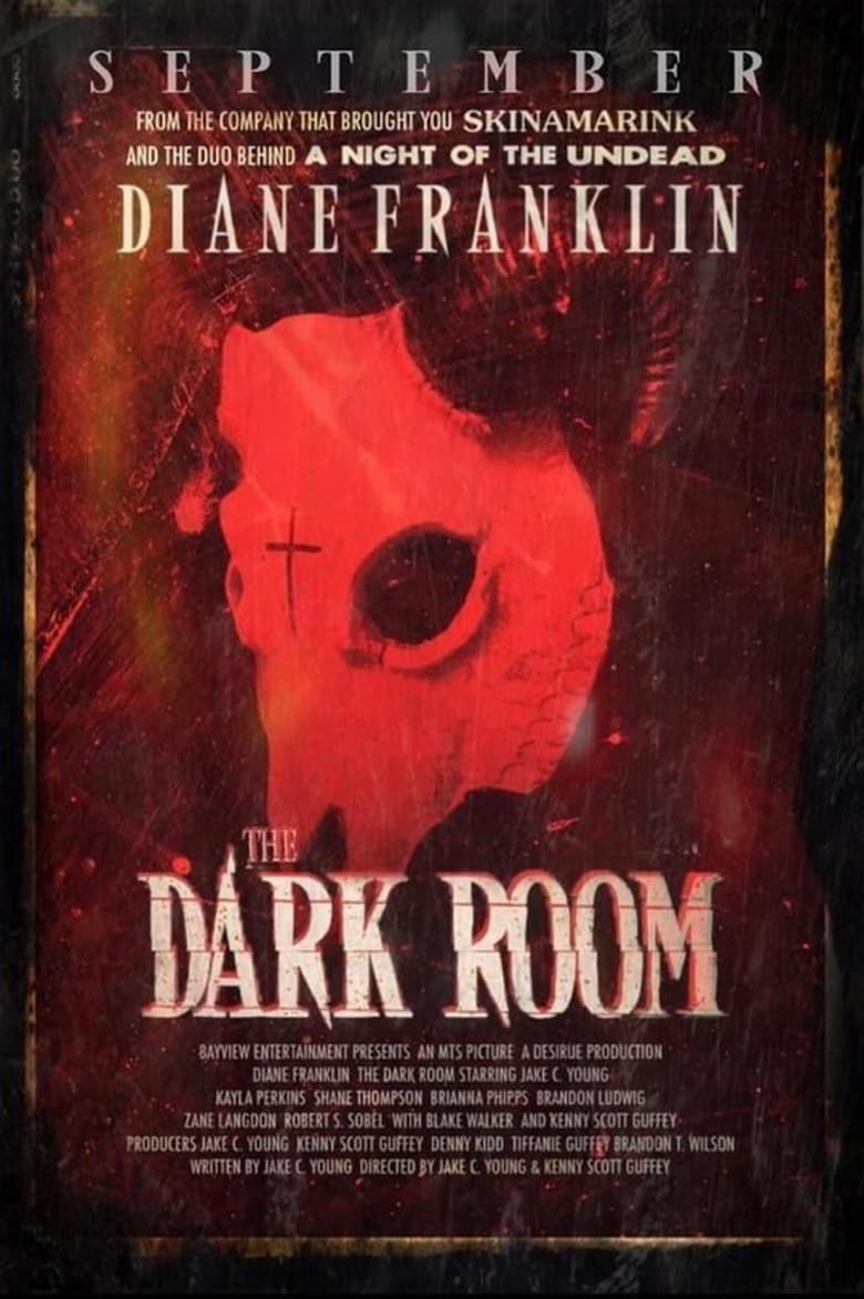 Poster of The Dark Room