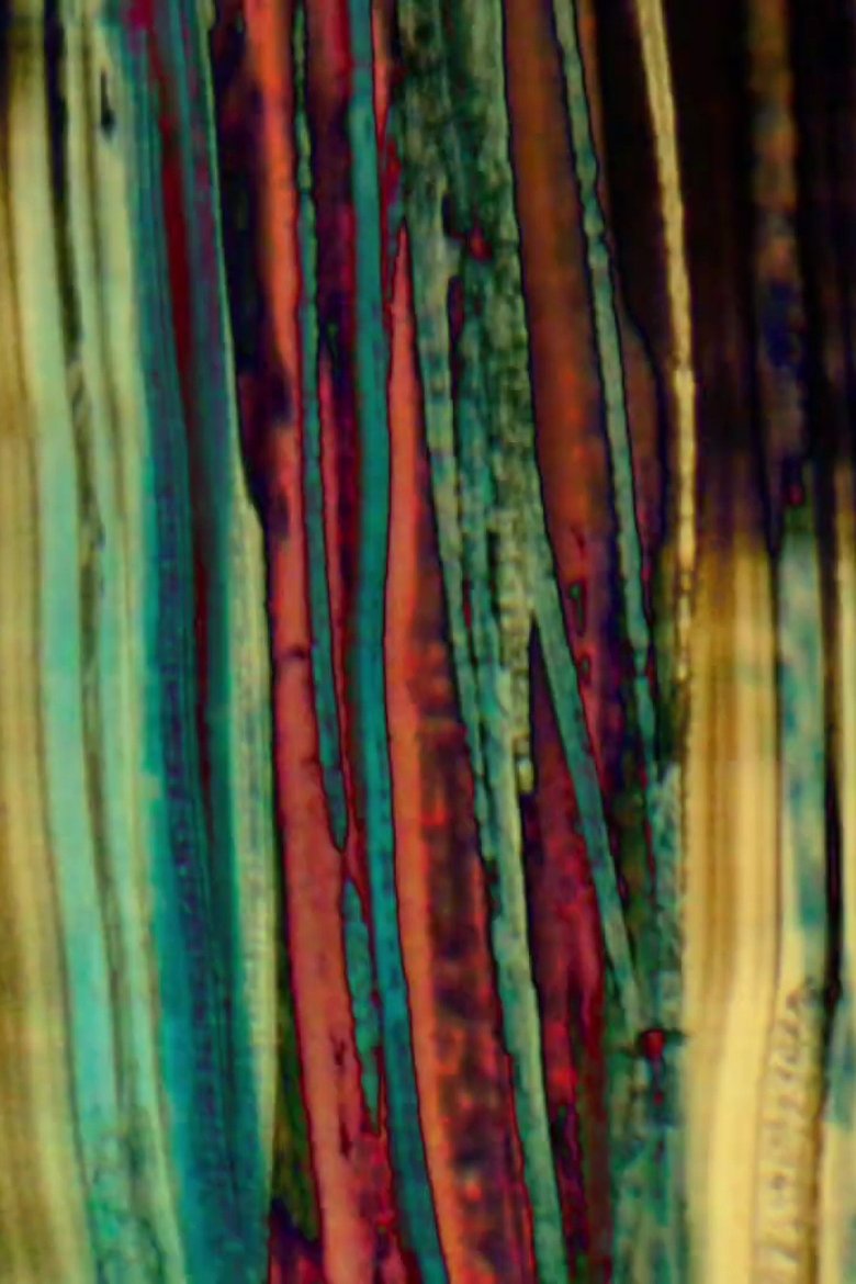 Poster of Breathing Room