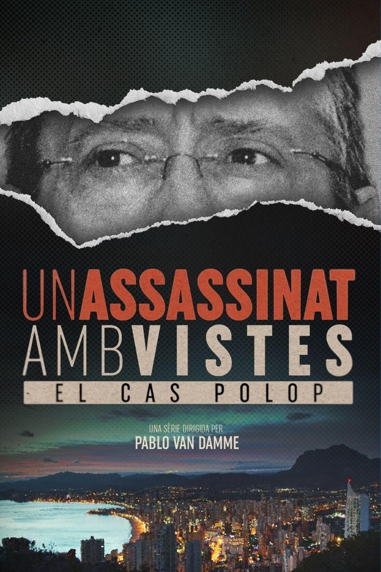Poster of Un assassinat amb vistes