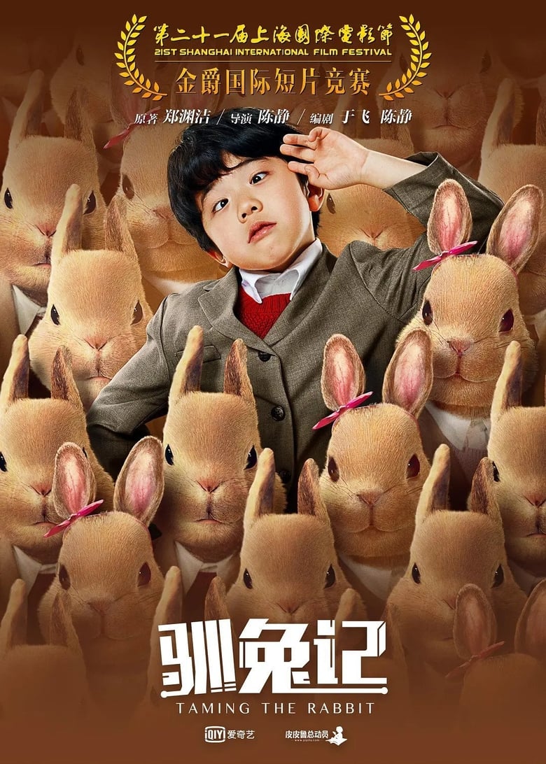 Poster of Taming the Rabbit