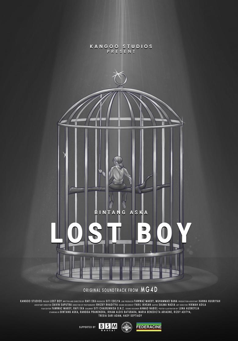 Poster of Lost Boy