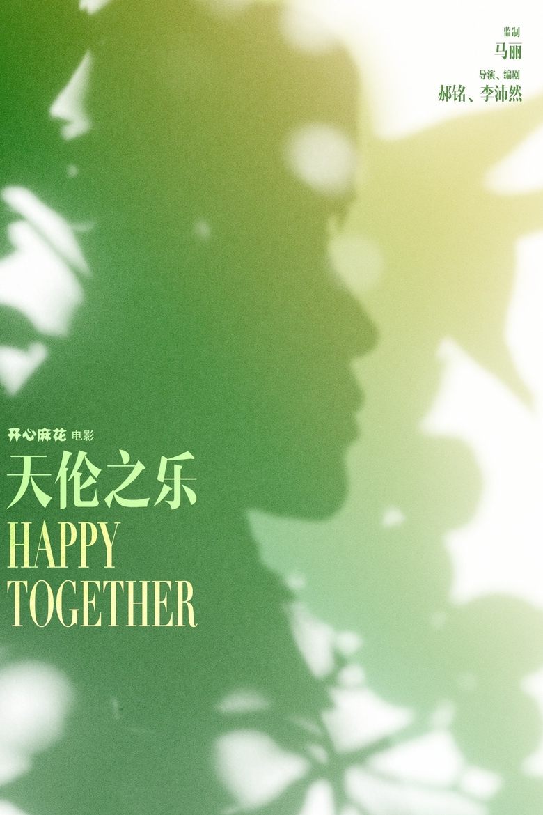 Poster of Happy Together