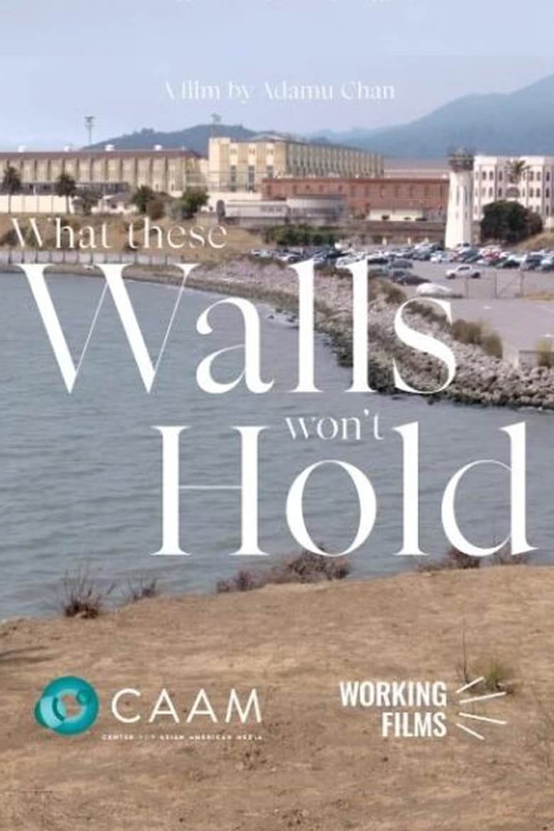 Poster of What These Walls Won't Hold