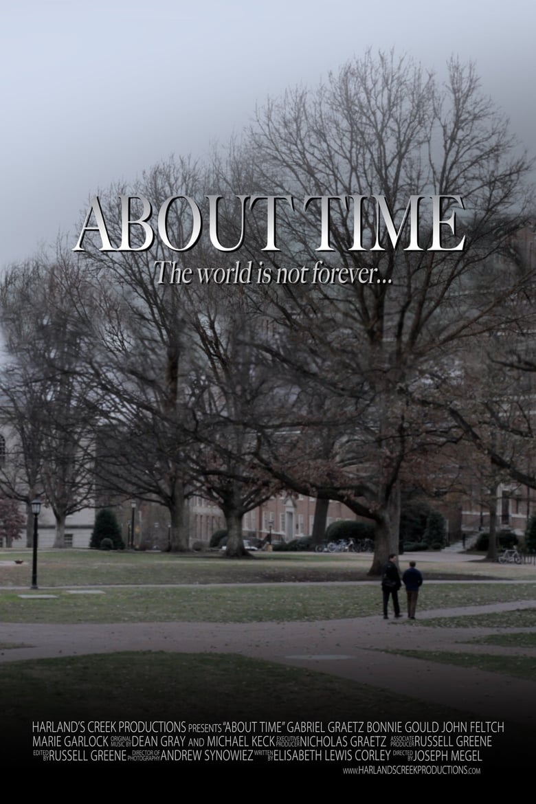 Poster of About Time