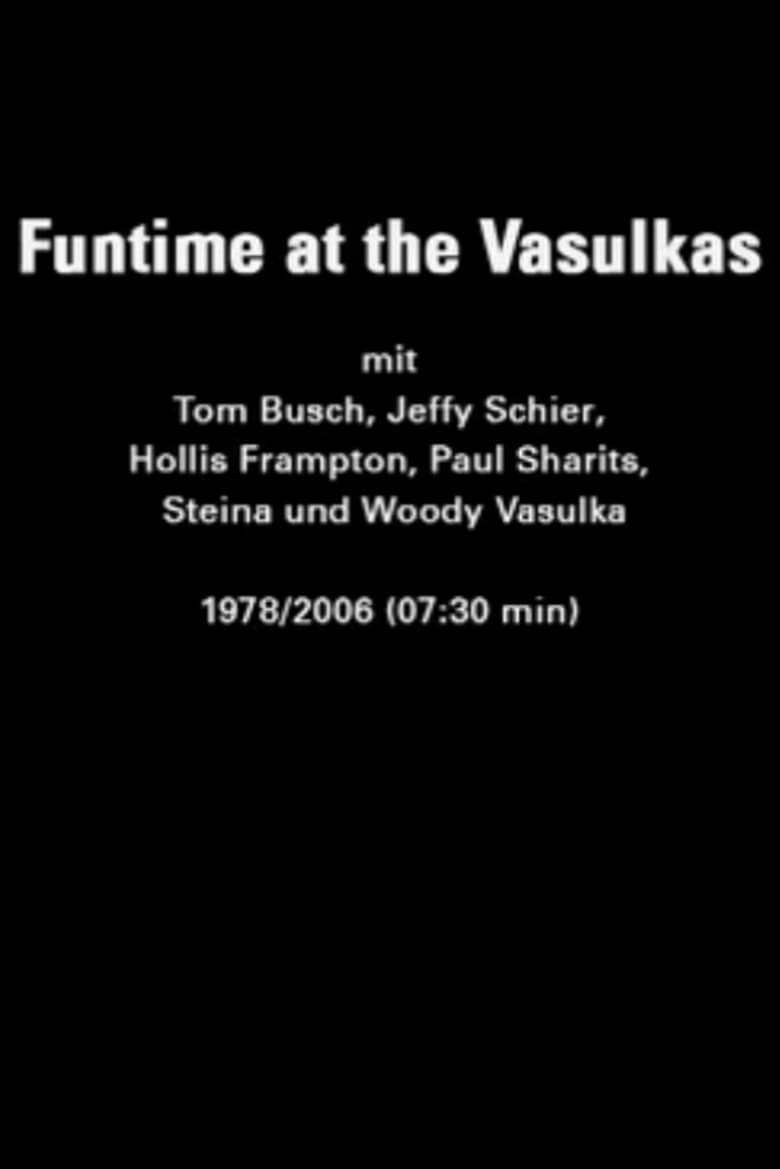 Poster of Funtime at the Vasulkas