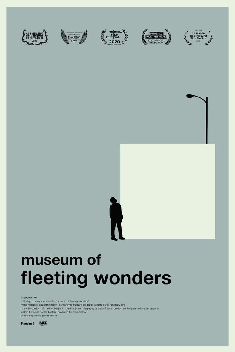 Poster of Museum of Fleeting Wonders