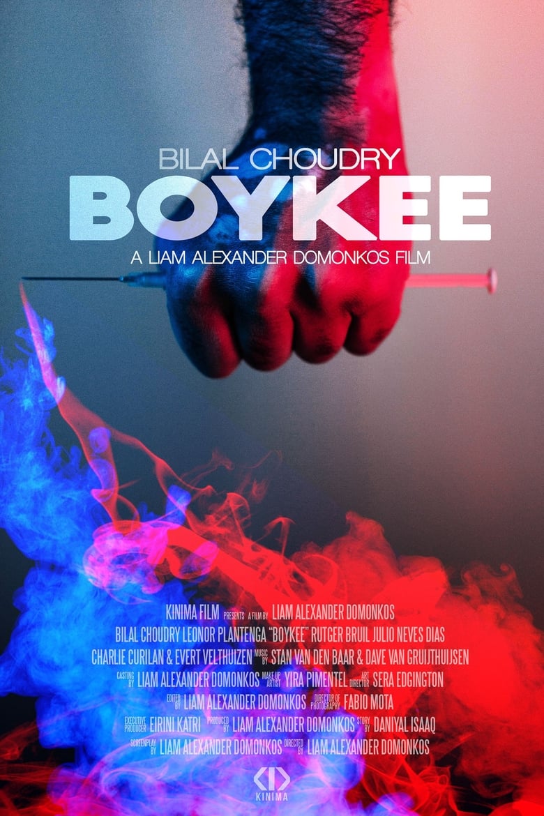 Poster of Boykee