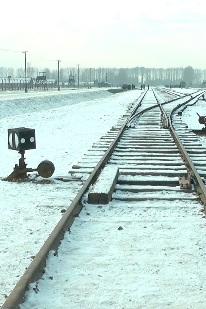 Poster of 19 876 Steps in Auschwitz / Birkenau