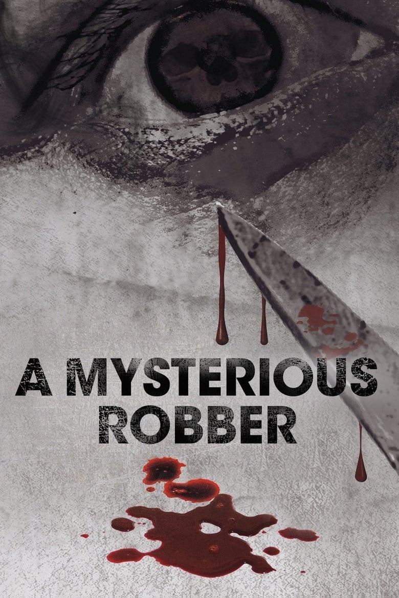 Poster of A Mysterious Robber