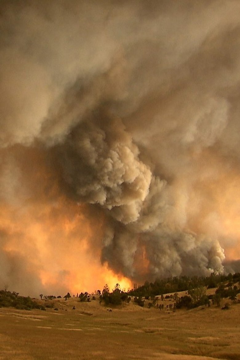 Poster of The West is Burning