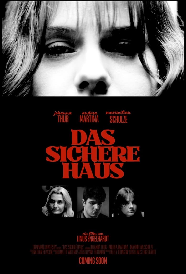 Poster of Das Sichere Haus