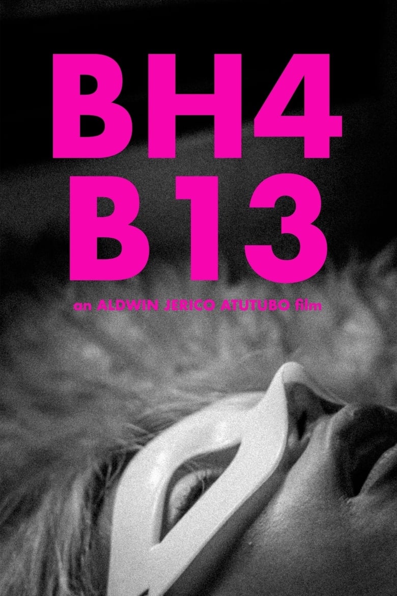 Poster of BH4B13