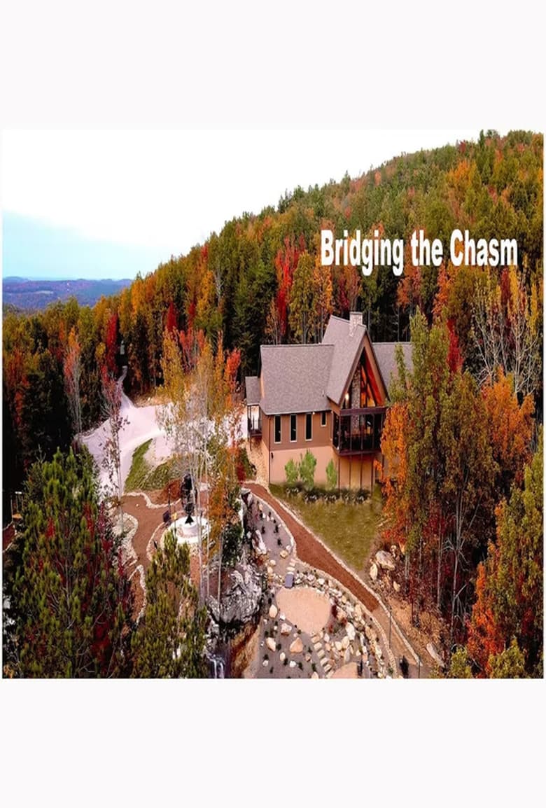 Poster of Bridging the Chasm