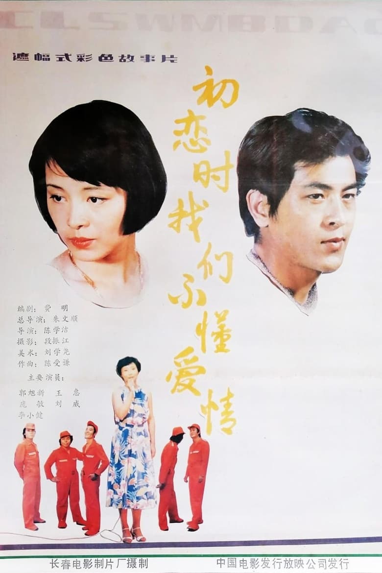 Poster of We Didn't Know Love During First Love