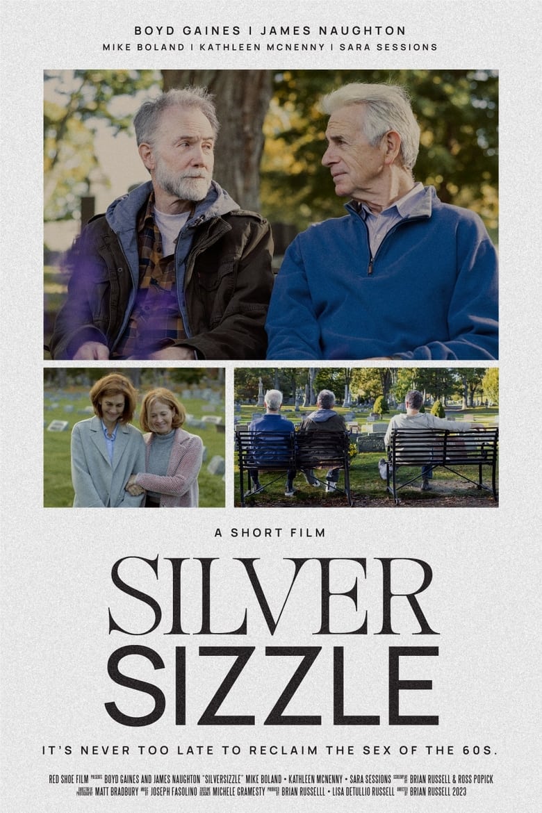 Poster of SilverSizzle