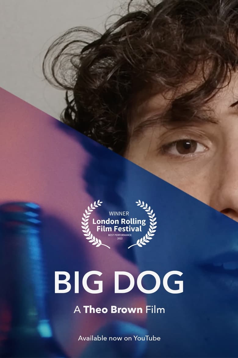 Poster of Big Dog