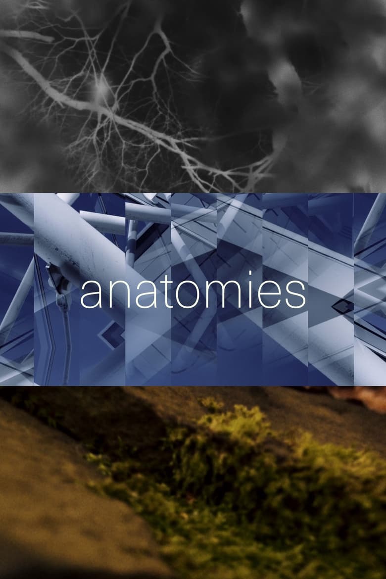 Poster of anatomies