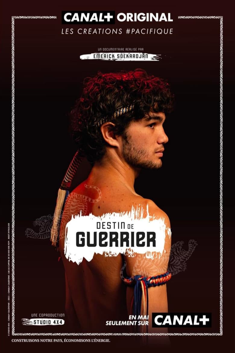 Poster of Destin De Guerrier