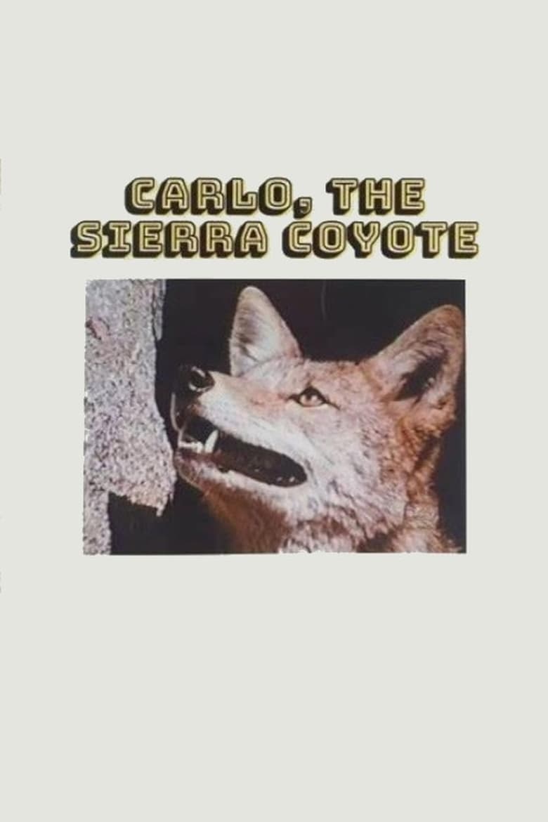 Poster of Carlo the Sierra Coyote