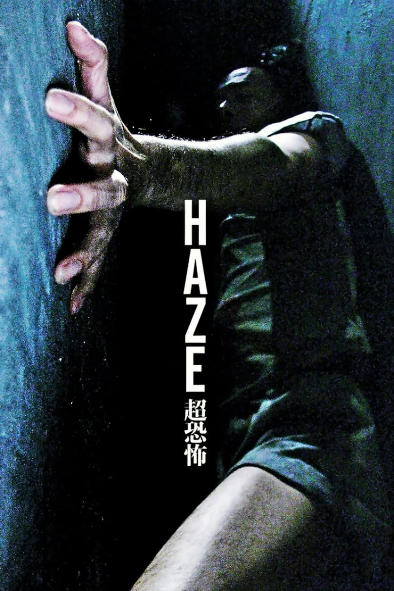 Poster of Haze