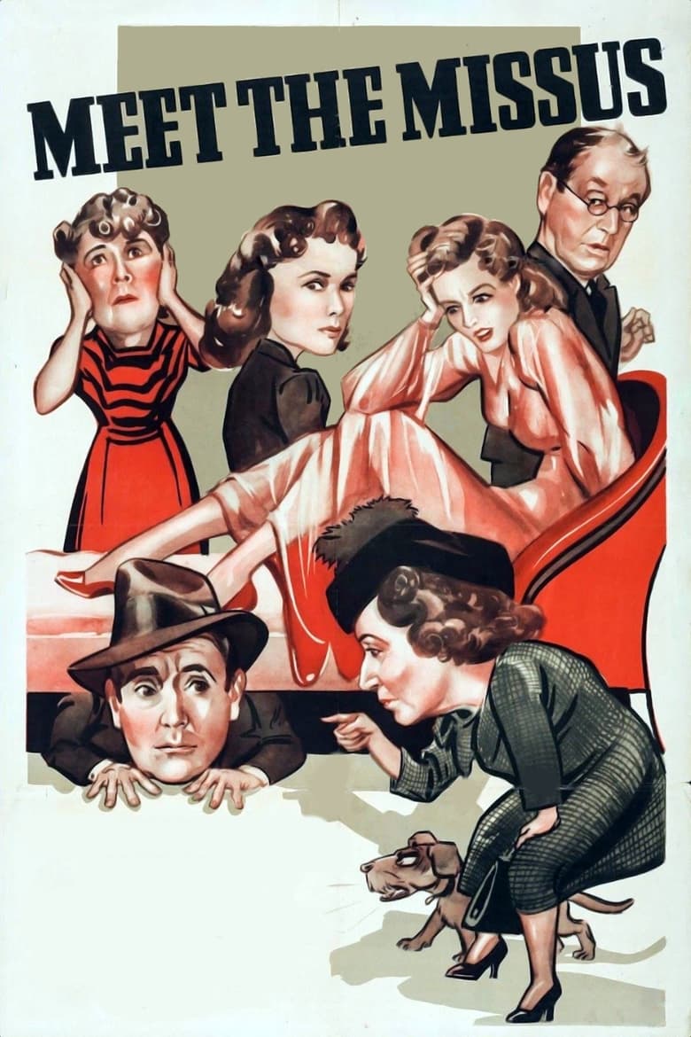 Poster of Meet the Missus