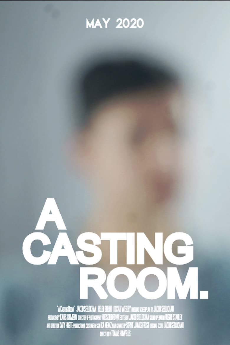 Poster of A Casting Room