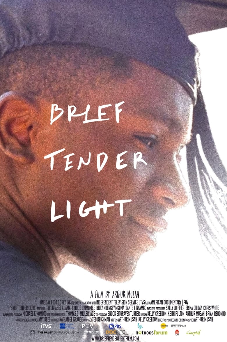 Poster of Brief Tender Light