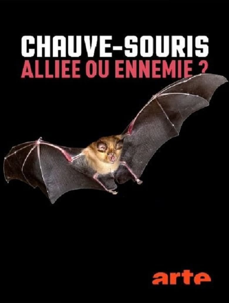 Poster of Chauve-souris: alliée ou ennemie?