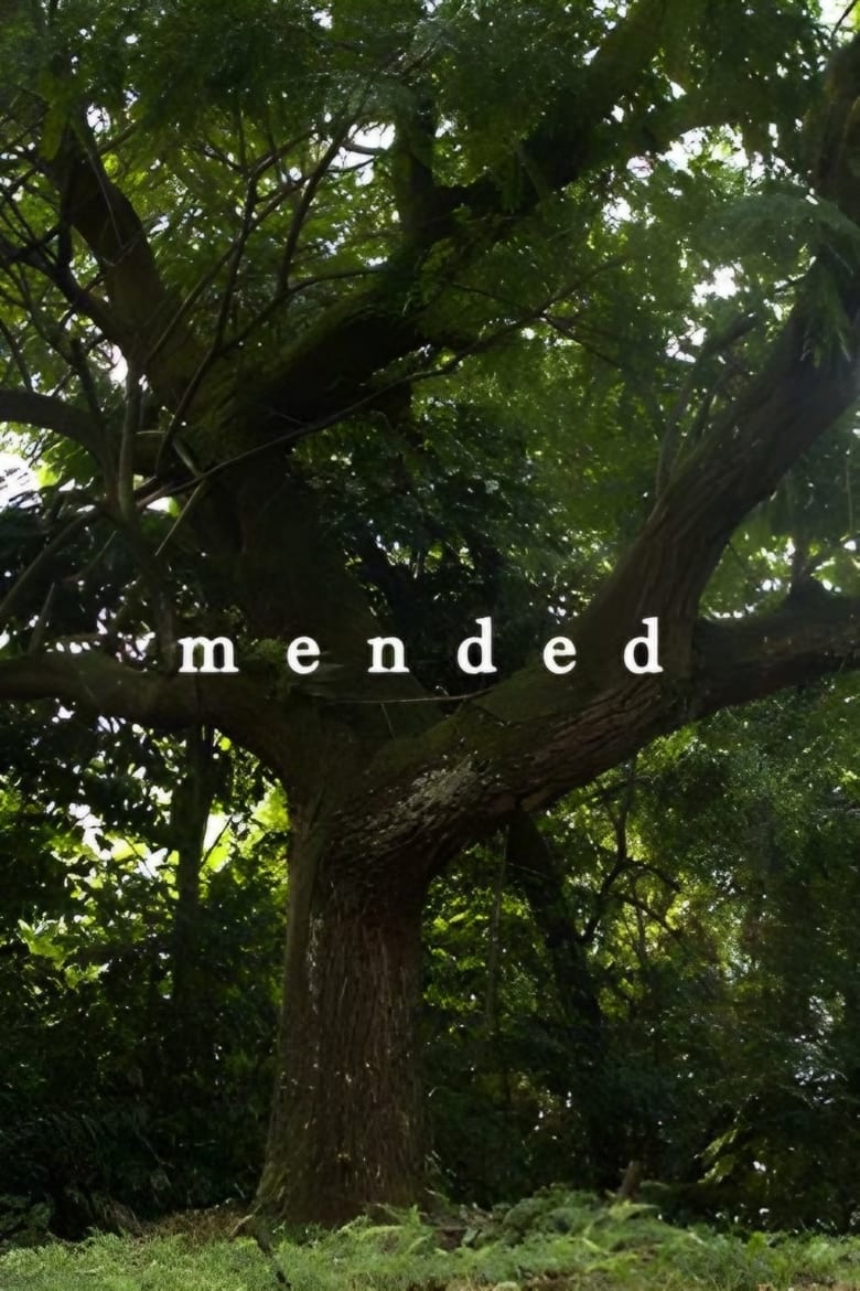 Poster of Mended