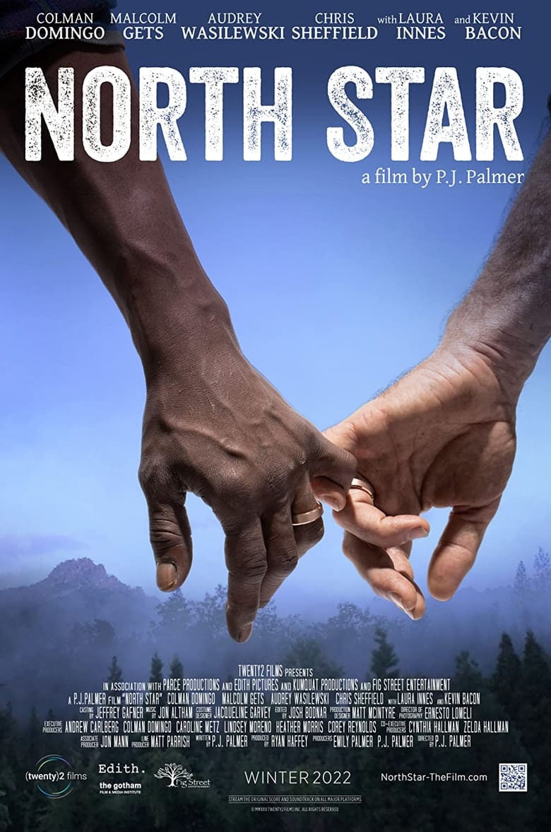 Poster of North Star