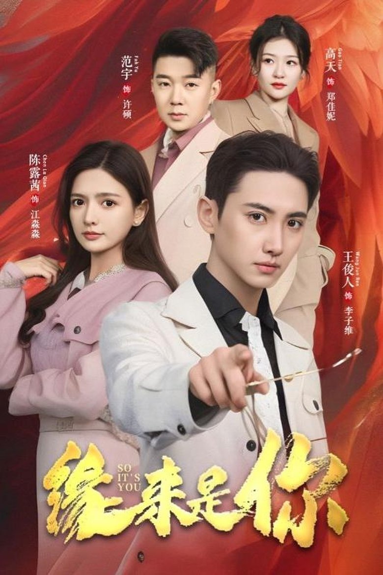 Poster of So It's You